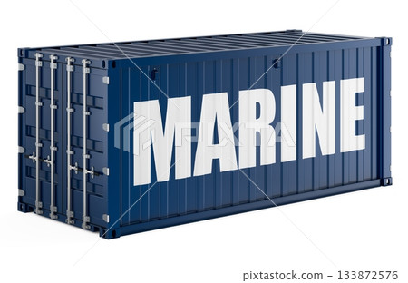 Marine, cargo shipping container. 3D rendering Marine, cargo shipping container. 3D rendering 133872576