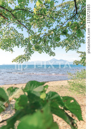 Summer scenery of Mount Bandai seen from the shore of Lake Inawashiro 133872885