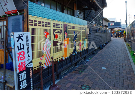 Inuyama Ninja Dojo 133872928