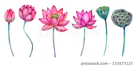 Watercolor pink lotus flower with delicate petals and soft gradients. Perfect for spa design, wellness branding, yoga themes, invitations, botanical art, stickers, prints and elegant decorative Watercolor pink lotus flower with delicate petals and soft gradients. Perfect for spa design, wellness branding, yoga themes, invitations, botanical art, stickers, prints and elegant decorative 133873125