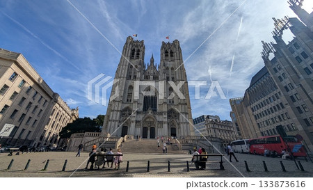 Cathedral of St. Michael and St. Gudula  133873616
