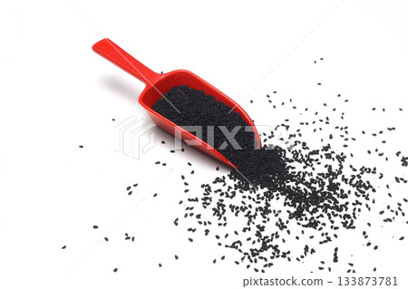 Nigella sativa or Black cumin in Red spoon isolated on white background 133873781