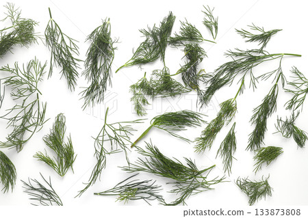 A Dill isolated on a white background 133873808
