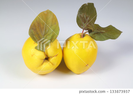 Two ripe quince fruit isolated on a white background. Fresh fruits. Two ripe quince fruit isolated on a white background. Fresh fruits. 133873937