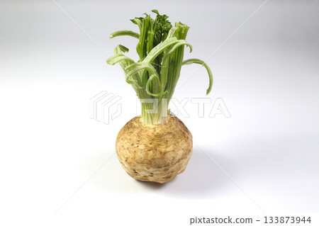 fresh organic celeriac celery root isolated on white background 133873944