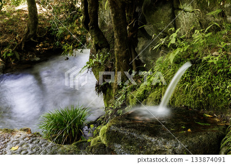 阿蘇區產山村山吹水源抽水站 阿蘇區產山村山吹水源抽水站 133874091