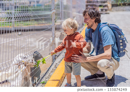 Father and his young son feeding goats on a farm, enjoying family bonding, animal interaction, and outdoor activity. Wholesome childhood and learning concept Father and his young son feeding goats on a farm, enjoying family bonding, animal interaction, and outdoor activity. Wholesome childhood and learning concept 133874249