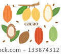 A set of illustrations of cocoa beans in various colors 133874312