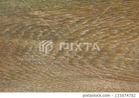 wood texture. Abstract background, empty template. Cropped Shot Of A Textured Background. 133874782