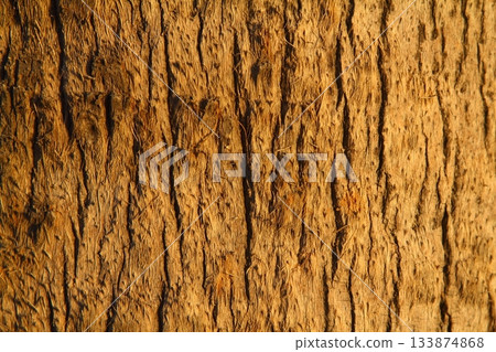 wood texture. Abstract background, empty template. Cropped Shot Of A Textured Background. wood texture. Abstract background, empty template. Cropped Shot Of A Textured Background. 133874868