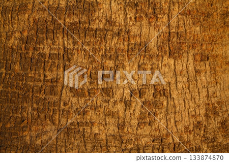wood texture. Abstract background, empty template. Cropped Shot Of A Textured Background. wood texture. Abstract background, empty template. Cropped Shot Of A Textured Background. 133874870