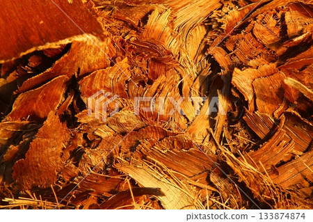wood texture. Abstract background, empty template. Cropped Shot Of A Textured Background. wood texture. Abstract background, empty template. Cropped Shot Of A Textured Background. 133874874