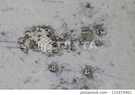 Grunge concrete wall at covered with gray cement old surface great for your design texture background. 133874901