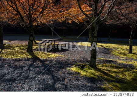 蘇瑪塔峽谷的秋日陽光和長椅 133874938