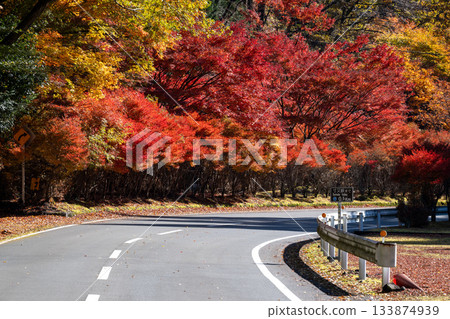 通往蘇瑪塔峽谷的秋葉之路 通往蘇瑪塔峽谷的秋葉之路 133874939