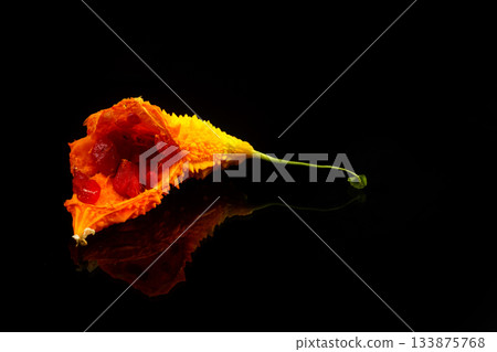 Momordica charantia isolated on a black background. Ripe whole fruits of Momordica charantia. Melon or bitter squash Momordica charantia isolated on a black background. Ripe whole fruits of Momordica charantia. Melon or bitter squash 133875768