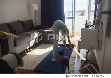 Relaxed woman practicing gentle mobility with her dog at home 133875795