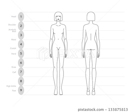 Vector illustration of a 9 head woman, displaying multiple angles including front, and back. Perfect for fashion sketch Vector illustration of a 9 head woman, displaying multiple angles including front, and back. Perfect for fashion sketch 133875813