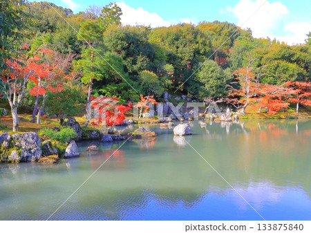 Tenryuji Temple in Autumn (Sogenchi Pond, World Heritage Site, Kyoto City) Tenryuji Temple in Autumn (Sogenchi Pond, World Heritage Site, Kyoto City) 133875840