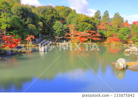 Tenryuji Temple in Autumn (Sogenchi Pond, World Heritage Site, Kyoto City) 133875842