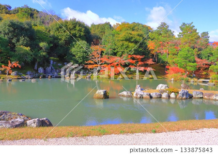 Tenryuji Temple in Autumn (Sogenchi Pond, World Heritage Site, Kyoto City) 133875843