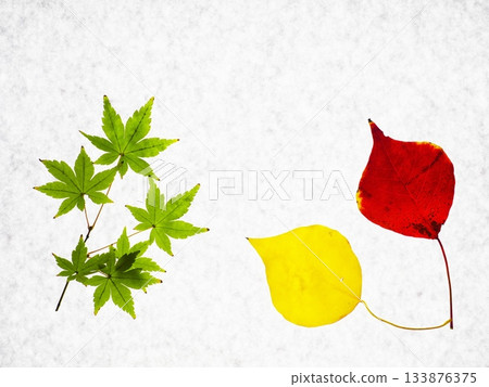 Watercolor autumn leaves Watercolor autumn leaves 133876375