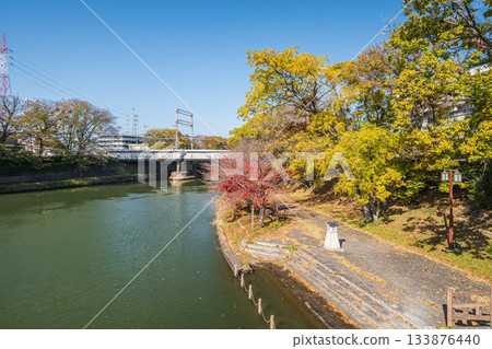 深秋時節，沿著堀川河漫步，京都市伏見區 133876440
