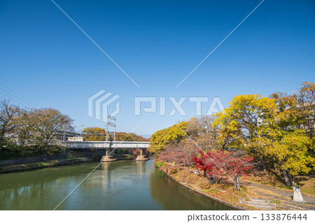 Late autumn promenade along the Horikawa River, Fushimi Ward, Kyoto City Late autumn promenade along the Horikawa River, Fushimi Ward, Kyoto City 133876444