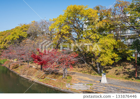 Late autumn promenade along the Horikawa River, Fushimi Ward, Kyoto City Late autumn promenade along the Horikawa River, Fushimi Ward, Kyoto City 133876446