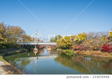 京都市伏見區堀川的深秋景色 133876448