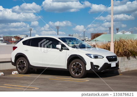 Domestic SUV image 133876621