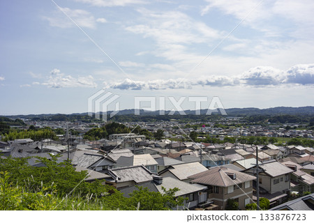 Early summer in Kikugawa City, Shizuoka Prefecture 133876723
