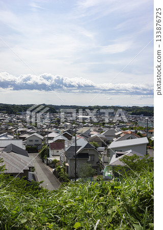 Early summer in Kikugawa City, Shizuoka Prefecture 133876725