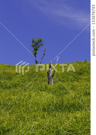 Higotai Park, Aso County, Kumamoto Prefecture Higotai Park, Aso County, Kumamoto Prefecture 133876785