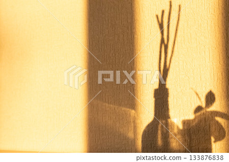 Shadow on the wall Shadow on the wall 133876838