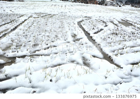 稻田上覆蓋著新雪 稻田上覆蓋著新雪 133876975