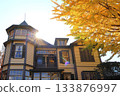 Yellow leaves at the "Diplomat's House" (Yamashita-cho, Naka-ku, Yokohama, Kanagawa Prefecture) 133876997