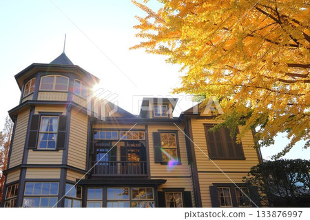 Yellow leaves at the "Diplomat's House" (Yamashita-cho, Naka-ku, Yokohama, Kanagawa Prefecture) 133876997