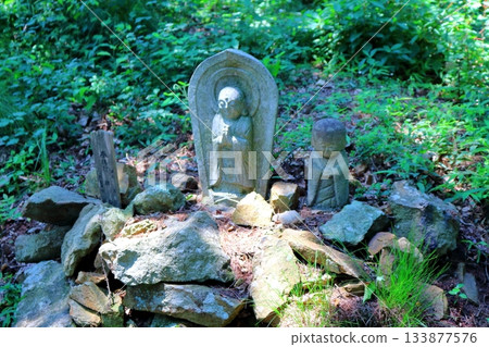 七月穿越上田太郎山,欣賞信州山脈的花朵和美景 七月穿越上田太郎山,欣賞信州山脈的花朵和美景 133877576