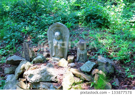 七月穿越上田太郎山，欣賞信州山脈的花朵和美景 133877578