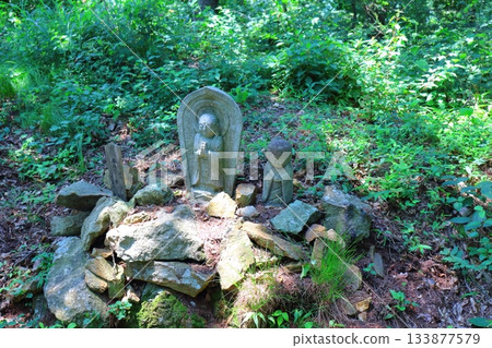 July's traverse of Mt. Ueda Taro and flowers Mountains of Shinshu Scenery of Shinshu July's traverse of Mt. Ueda Taro and flowers Mountains of Shinshu Scenery of Shinshu 133877579