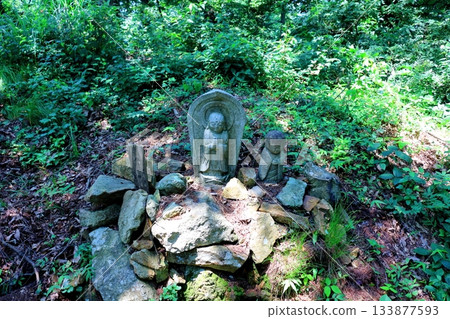 七月穿越上田太郎山，欣賞信州山脈的花朵和美景 133877593