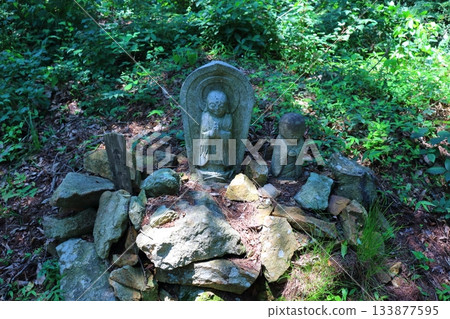 七月穿越上田太郎山,欣賞信州山脈的花朵和美景 七月穿越上田太郎山,欣賞信州山脈的花朵和美景 133877595