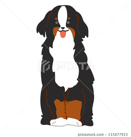 Bernese Mountain Dog - Hand-drawn, relaxed dog illustration 133877915