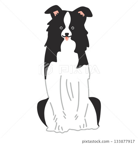 Border Collie hand-drawn, relaxed dog illustration Border Collie hand-drawn, relaxed dog illustration 133877917