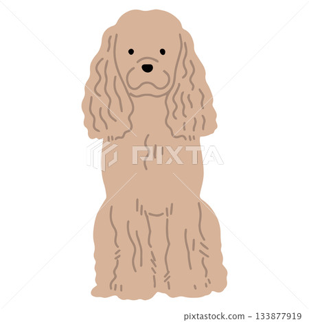 美國可卡犬 - 手繪，輕鬆自在的狗狗插畫 133877919