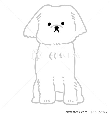 馬耳他犬手繪插圖 133877927