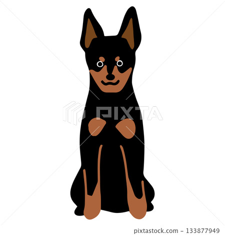 Miniature Pinscher - Hand-drawn, relaxed dog illustration Miniature Pinscher - Hand-drawn, relaxed dog illustration 133877949