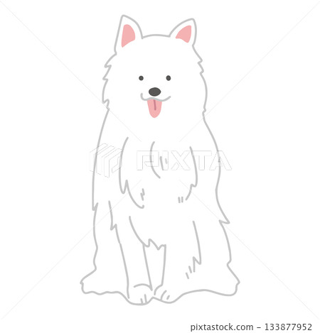 薩摩耶犬手繪插圖 薩摩耶犬手繪插圖 133877952