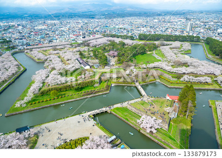 五稜郭的櫻花 133879173